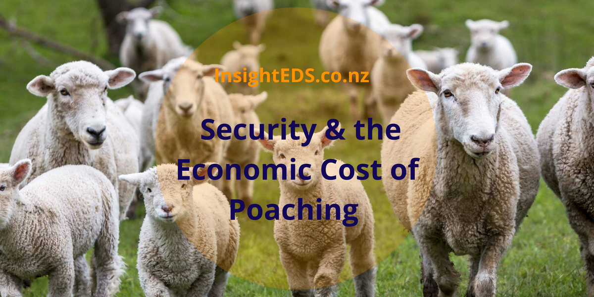 Security & the Economic Cost of Poaching