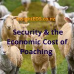 Security and the Economic Cost of Poaching